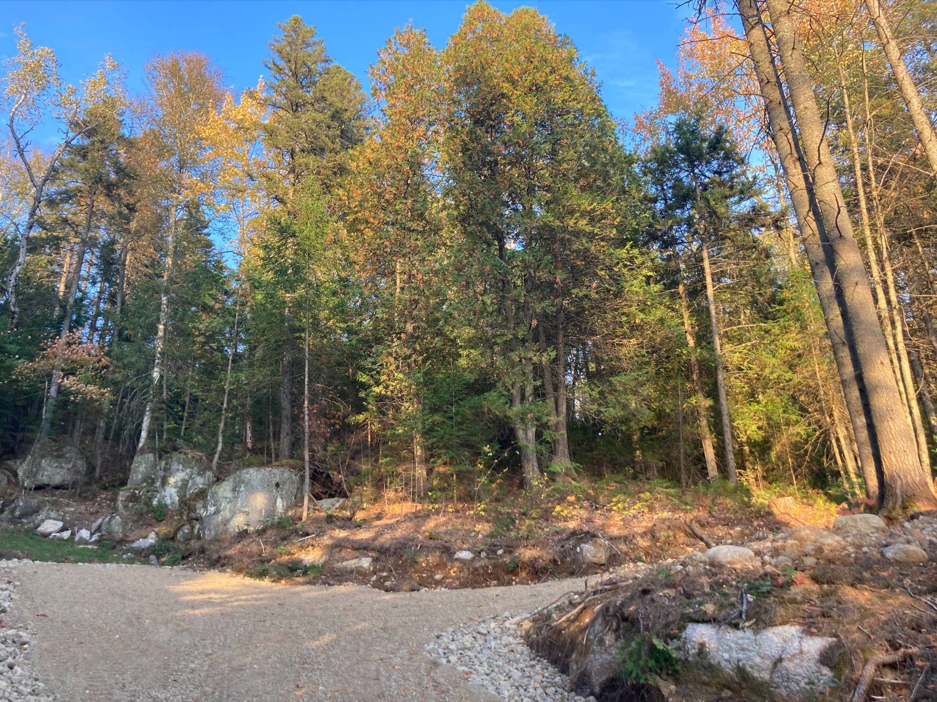 À construire - Route 349, Saint-Didace, QC