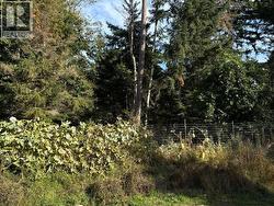 Lot 7 CEDAR STREET Texada Island, BC None