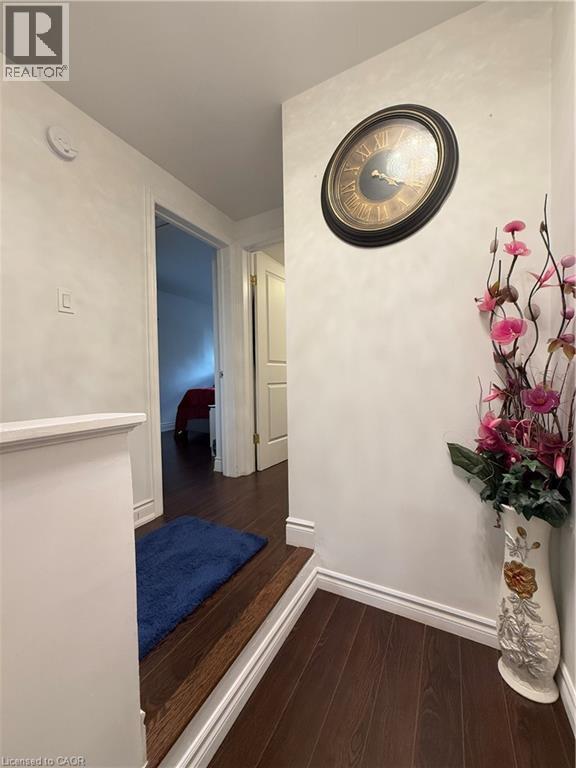 Dark wood-finish flooring extending through the hallway - 181 Thaler Avenue, Kitchener, ON