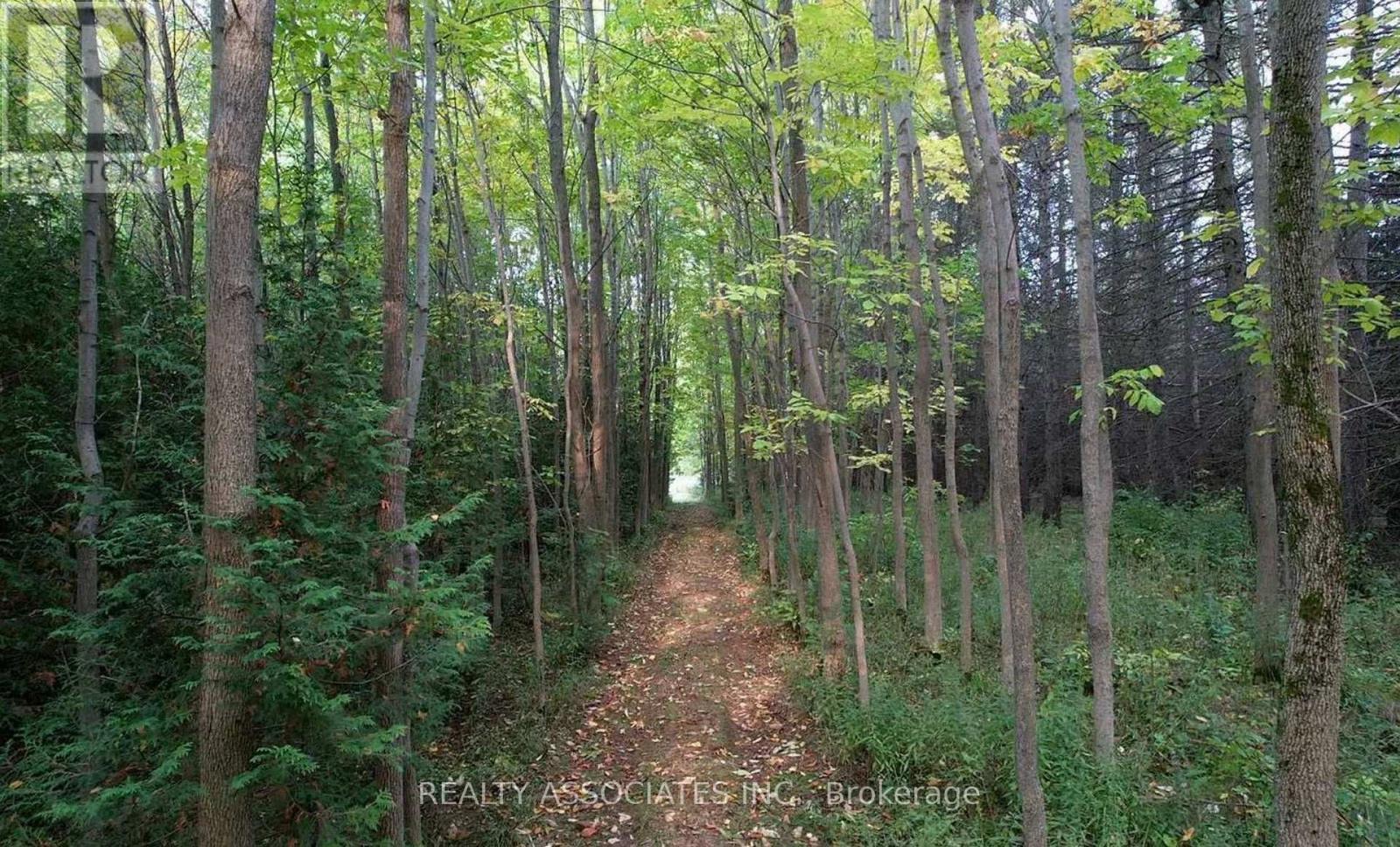 486289 30Th Side Road, Mono, ON - Outdoor With View