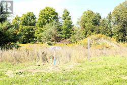 8 GREENLAW COURT Springwater, ON L0L 1V0