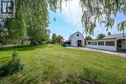 Expansive grass lawn featuring a mature weeping willow tree and a concrete driveway -