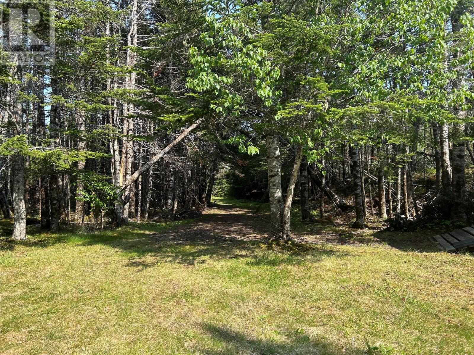 1B Colinet Road, Colinet, NL