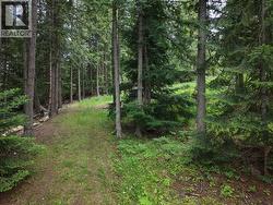 Lot 1 Bedford Road Nelson, BC V1L 6X7
