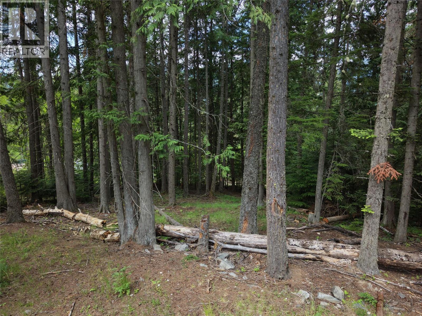 Lot 1 Bedford Road, Nelson, BC
