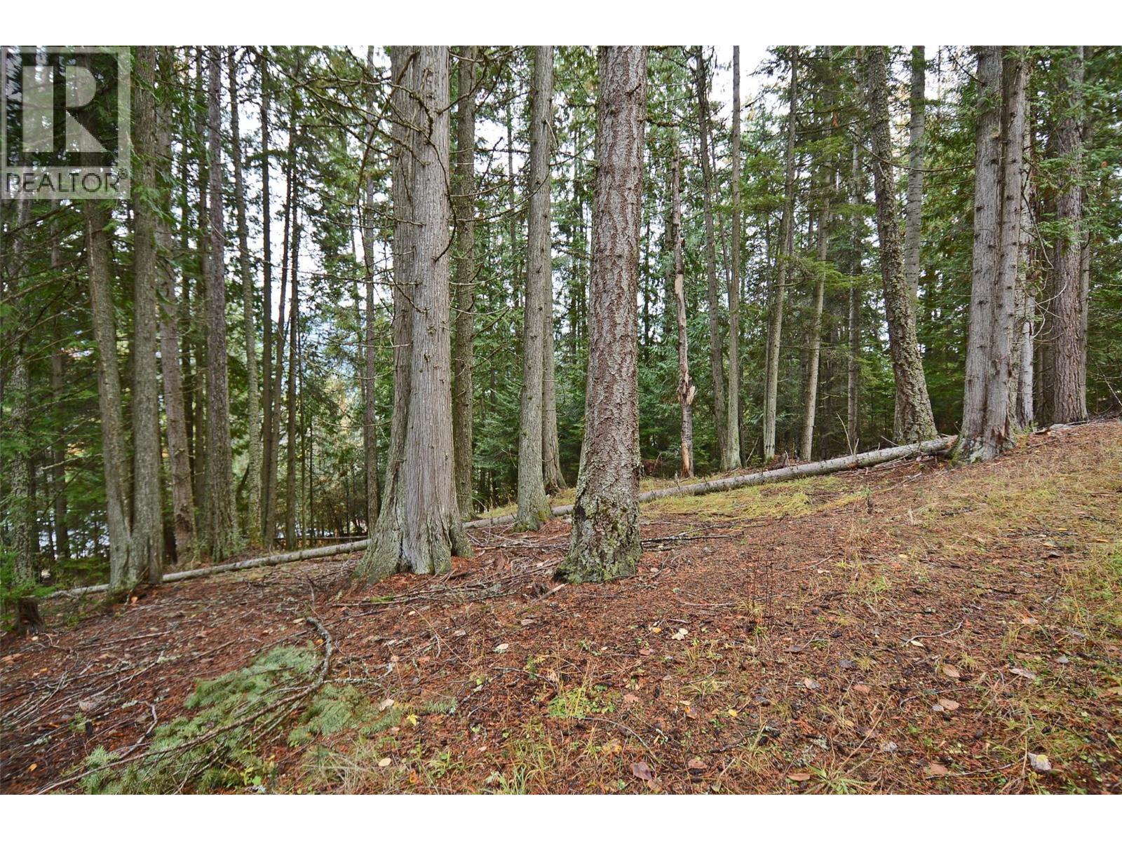Lot 1 Bedford Road, Nelson, BC