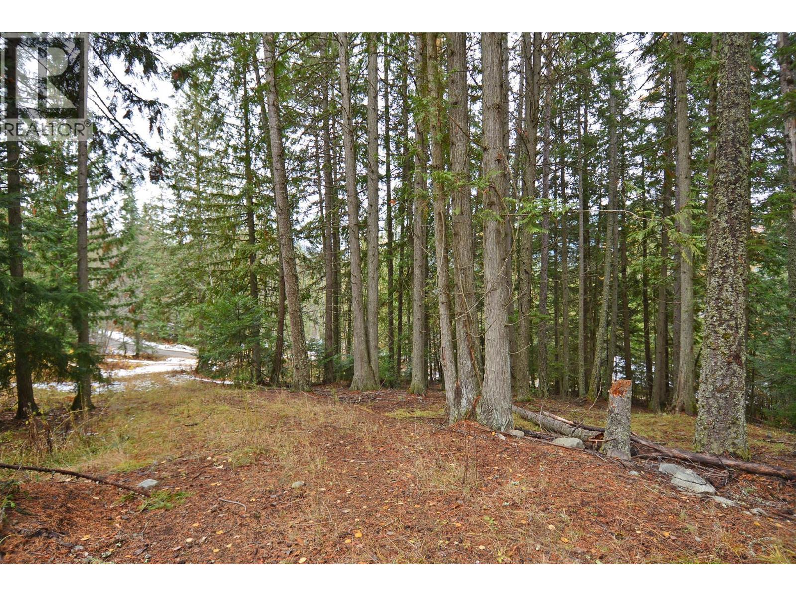 Lot 1 Bedford Road, Nelson, BC