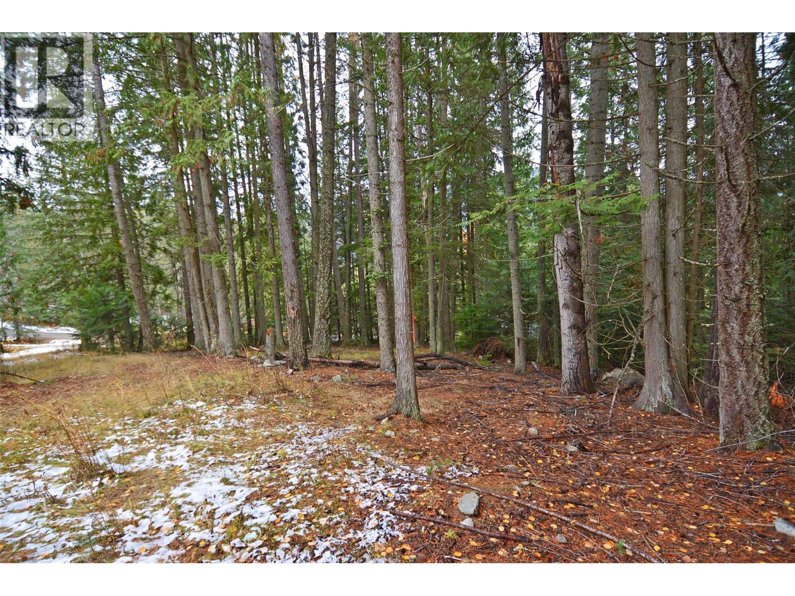 Lot 1 Bedford Road, Nelson, BC