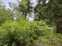 Lot -