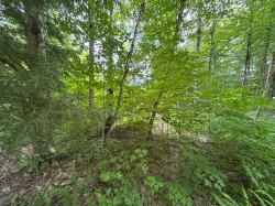 Lot -