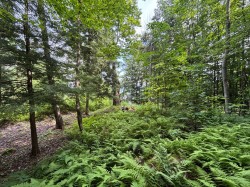 Lot -