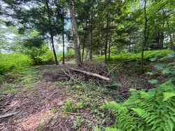 Lot -