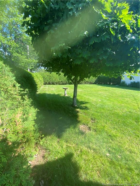 57 Wilson Rd, Riverview, NB