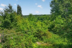 Wooded area -