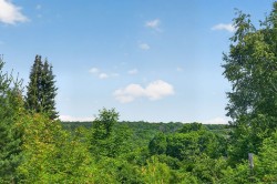 View -