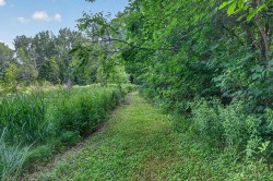 Wooded area -