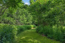 Wooded area -