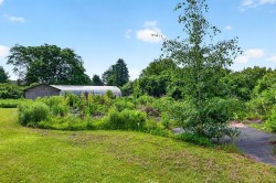 Greenhouse -