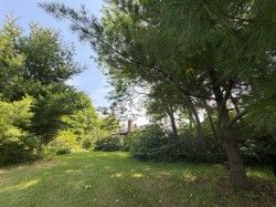 Overall view -