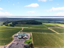 Aerial View -