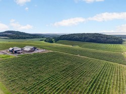 Aerial View -