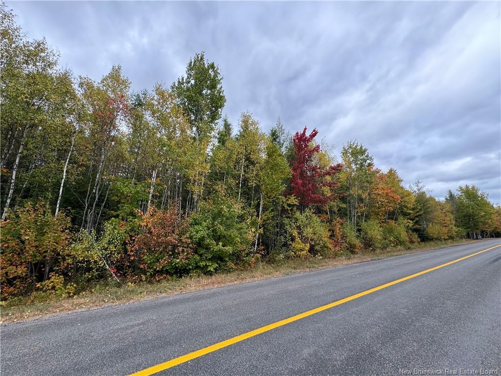 - Blueberry Lane, Codys, NB