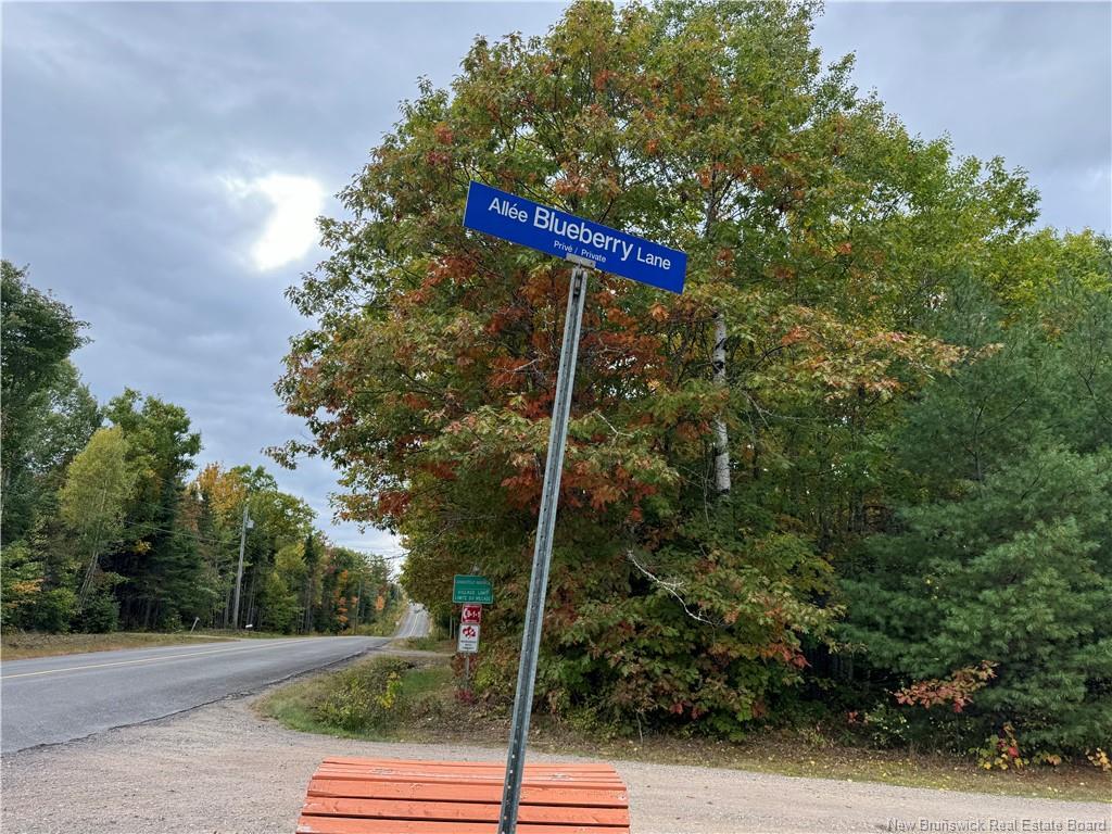 - Blueberry Lane, Codys, NB