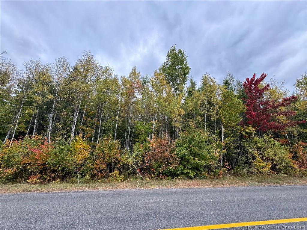- Blueberry Lane, Codys, NB