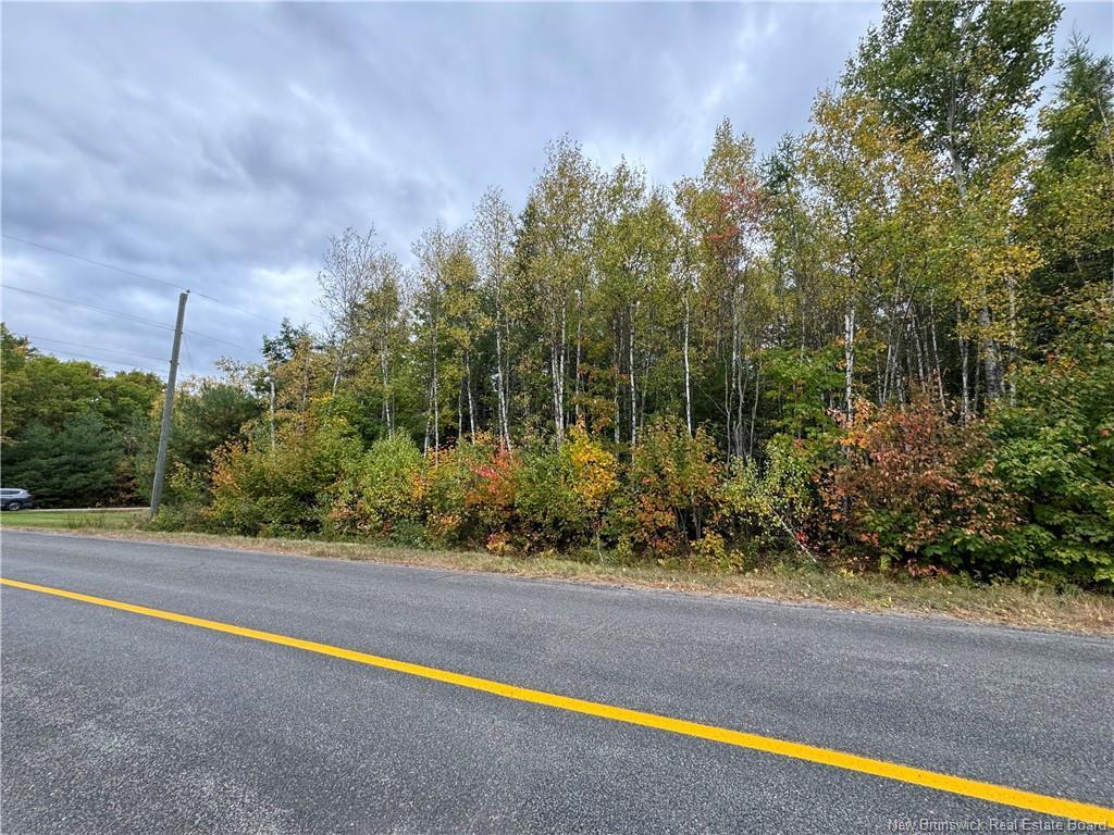- Blueberry Lane, Codys, NB