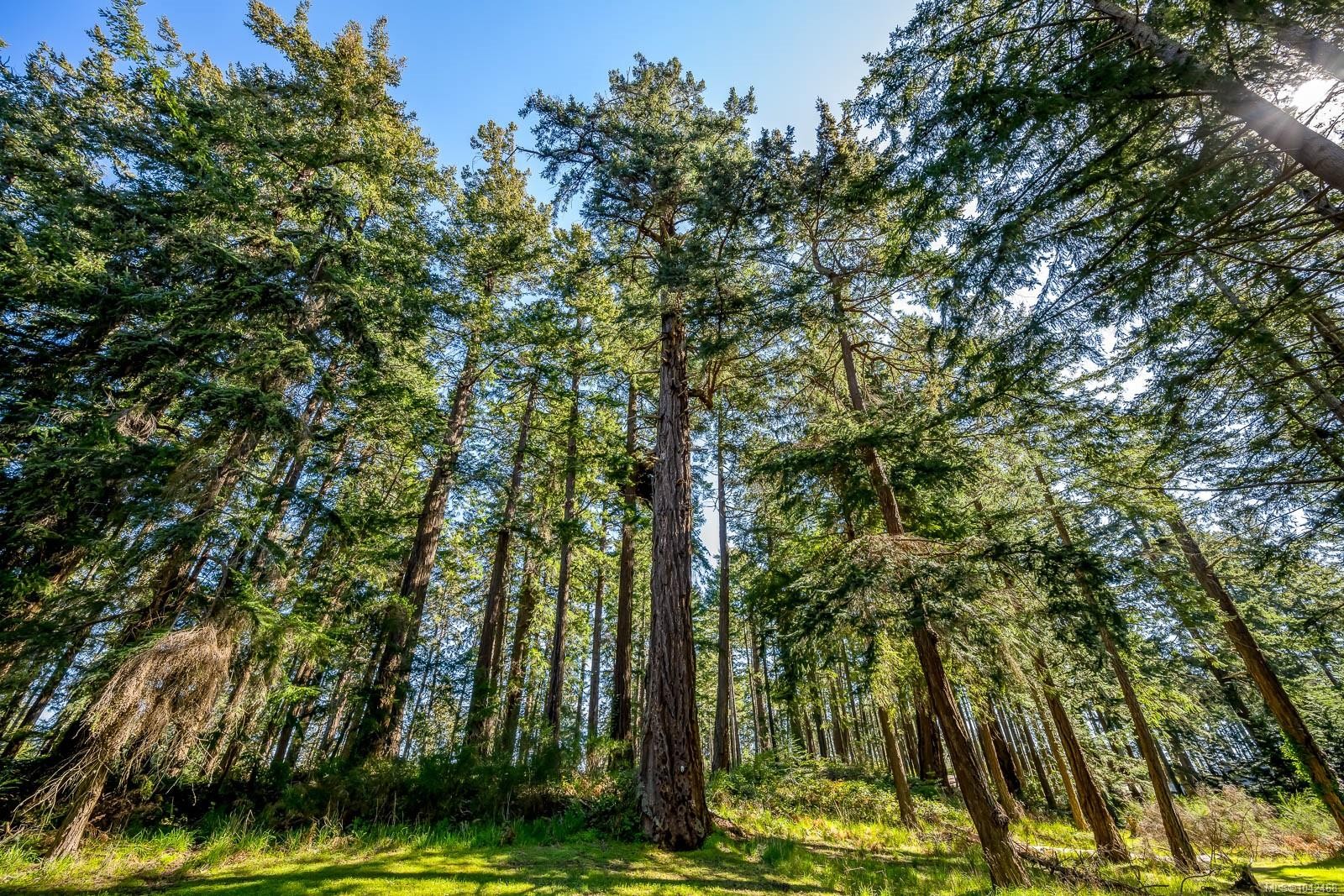745 Lazo Rd, Comox, BC