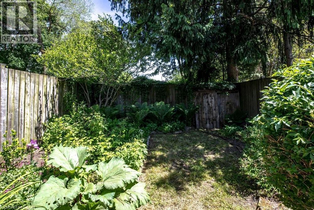 Fenced backyard with mature trees and established plantings - 148 Dundurn Street N, Hamilton, ON