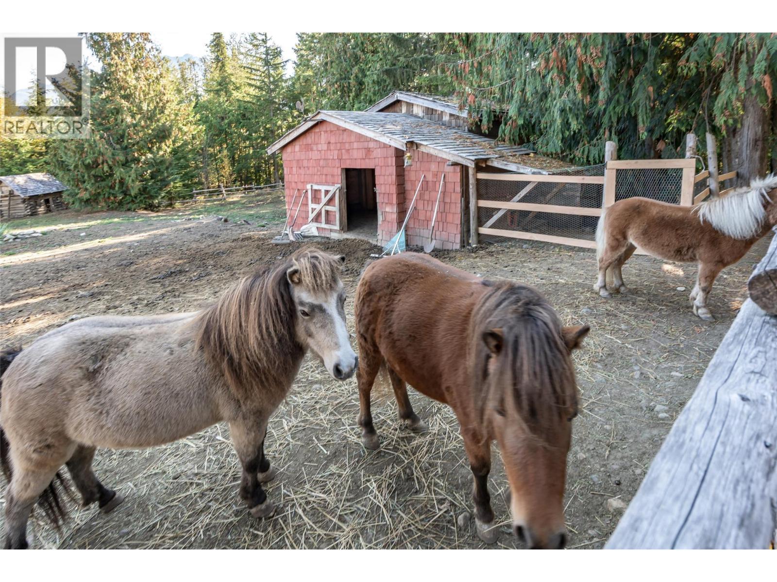 8840 Olson Road, Kaslo, BC - Outdoor