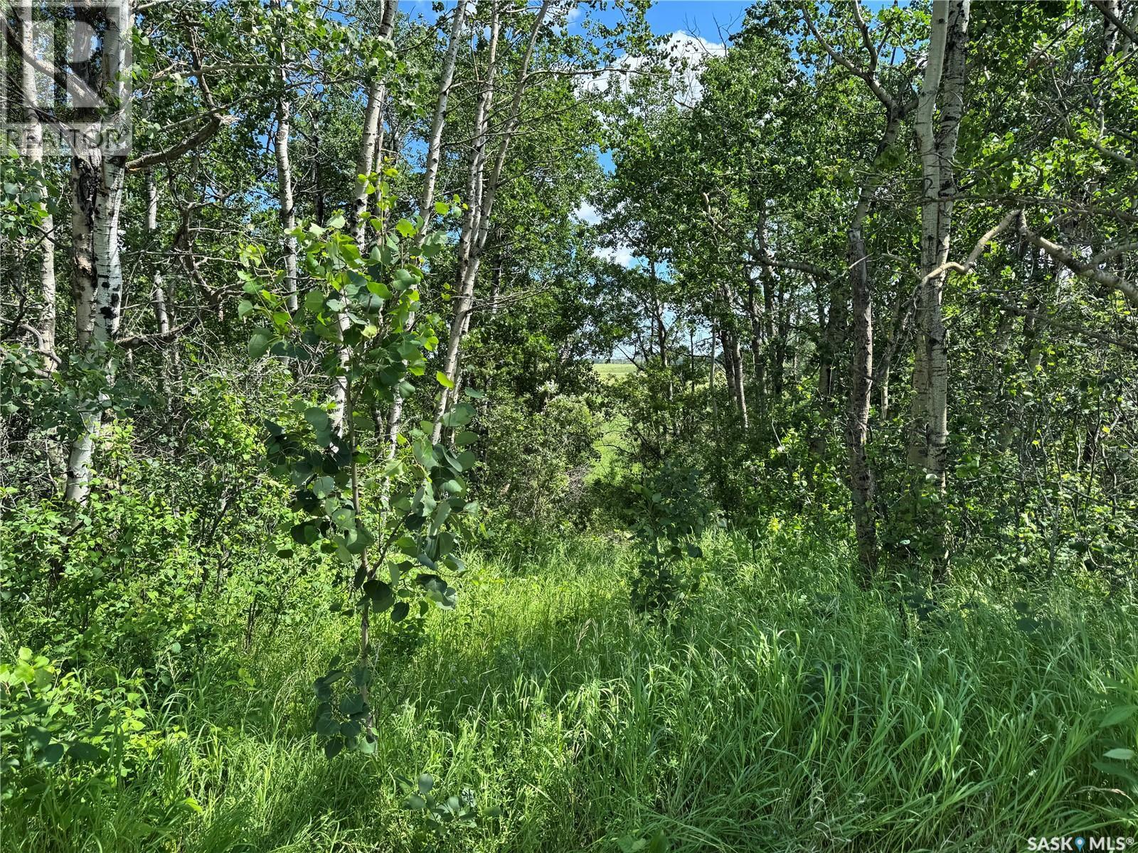 Lot 3 Ravine Road, Big Shell, SK