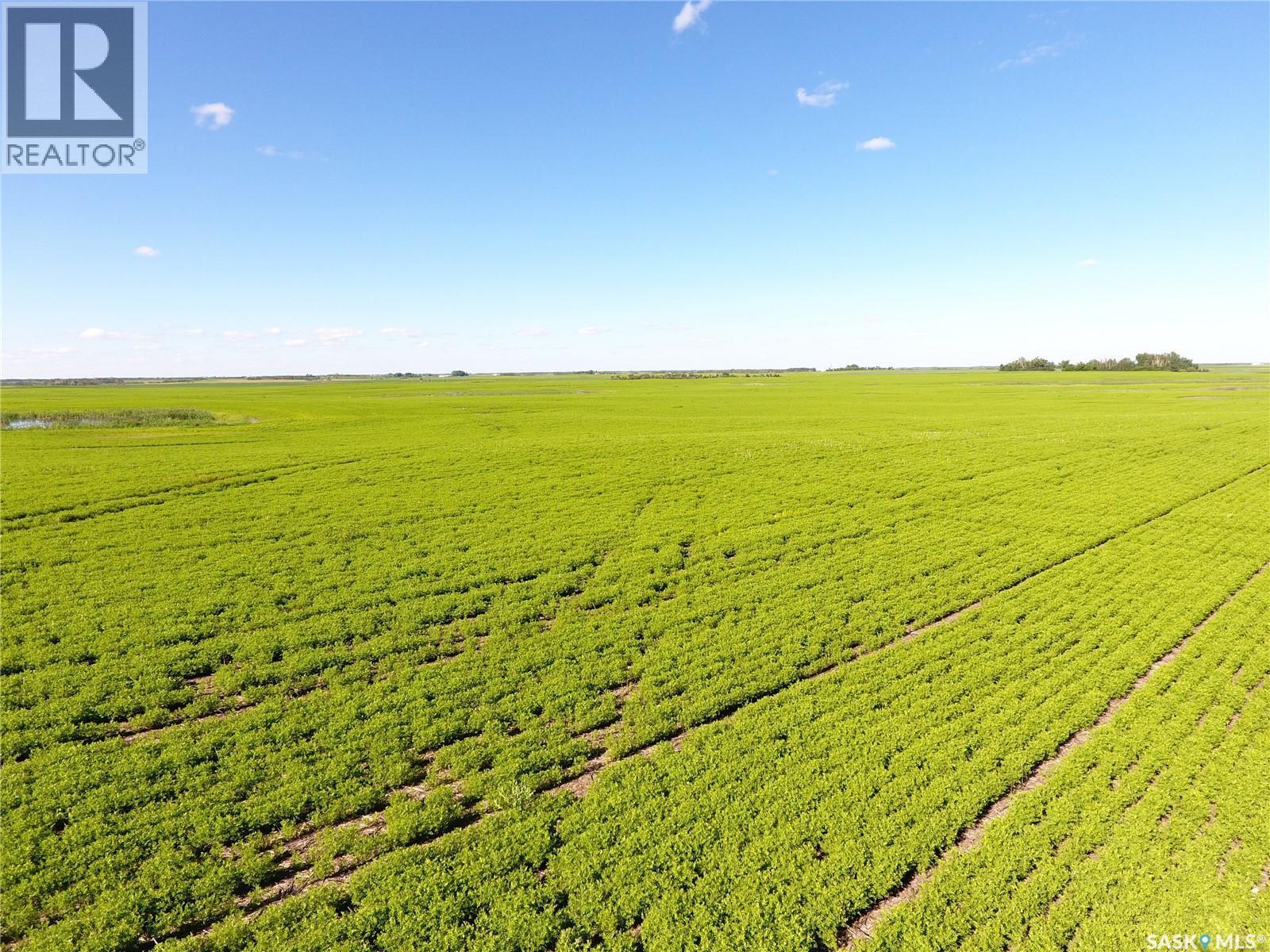 Neels Land, Francis Rm No. 127, SK