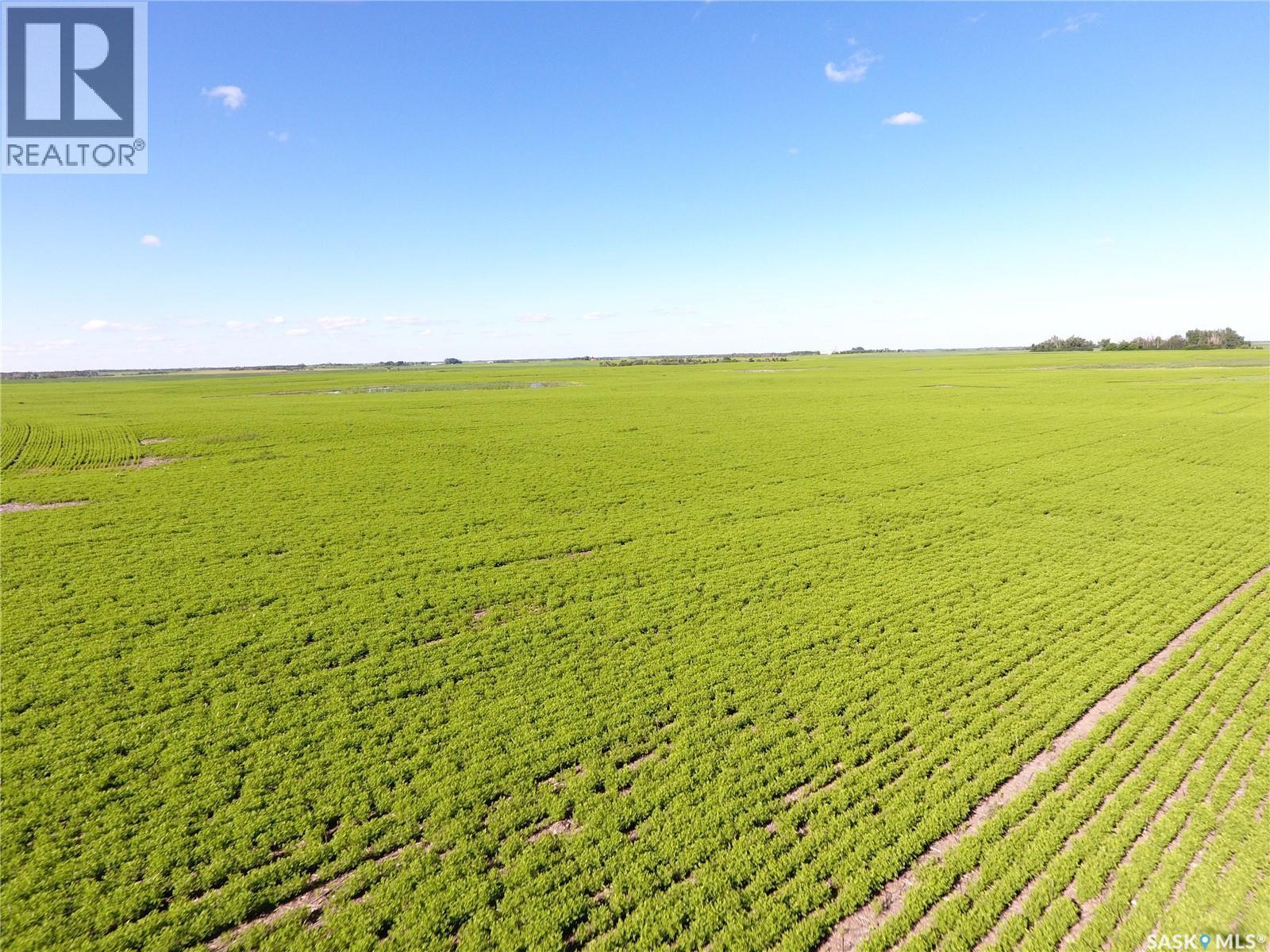 Neels Land, Francis Rm No. 127, SK