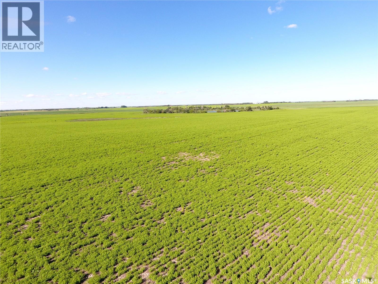 Neels Land, Francis Rm No. 127, SK
