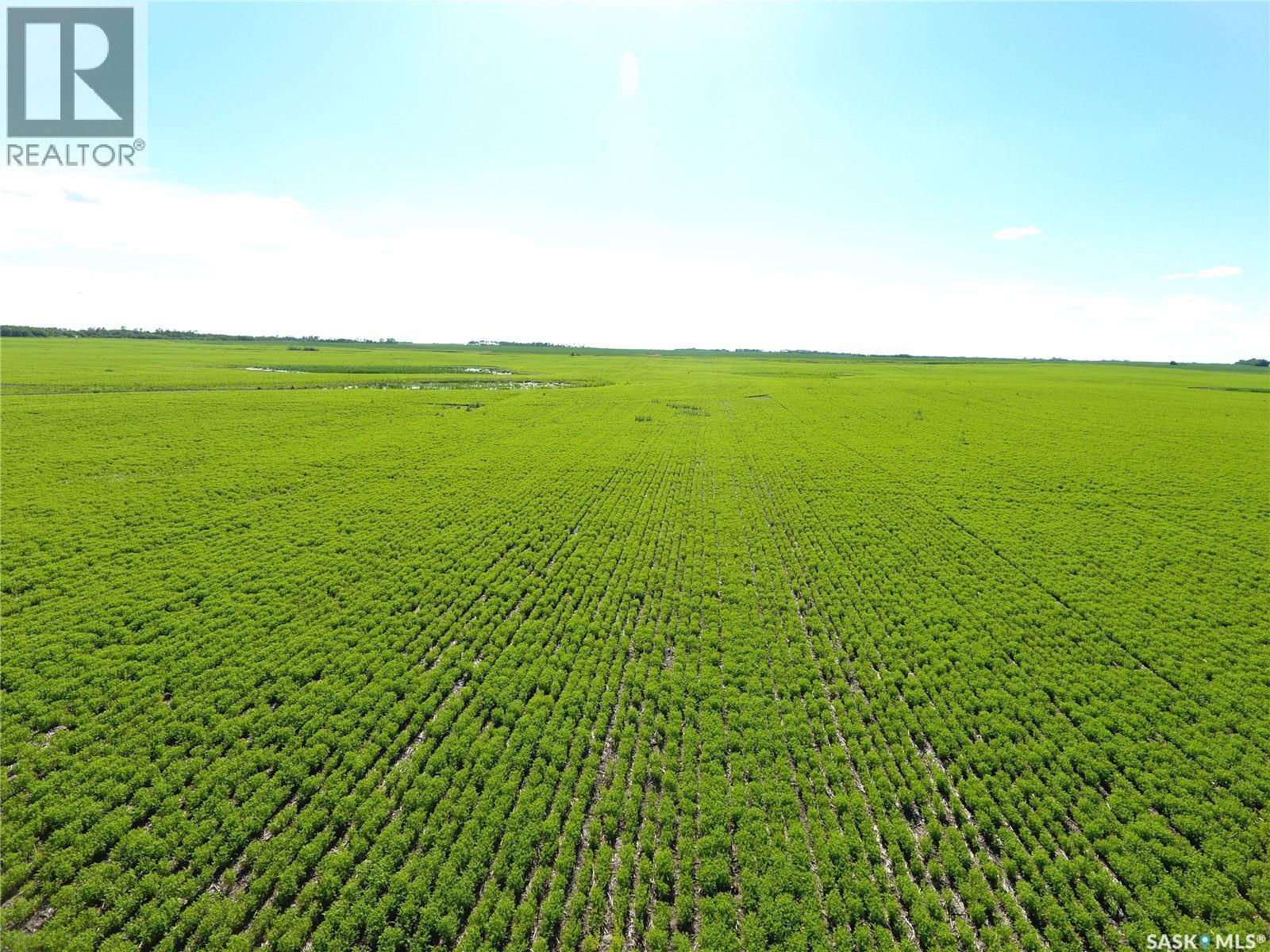 Neels Land, Francis Rm No. 127, SK