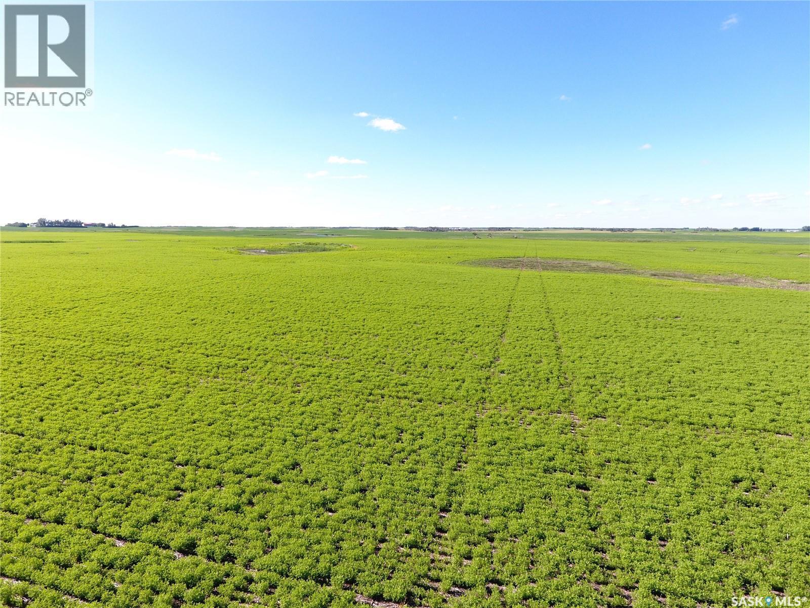 Neels Land, Francis Rm No. 127, SK