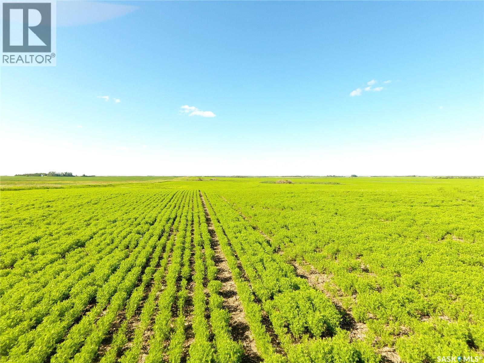 Neels Land, Francis Rm No. 127, SK