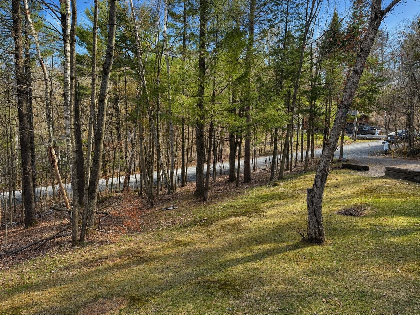 Courtyard - 1480 Rue Vigneault, Prévost, QC - Outdoor With View