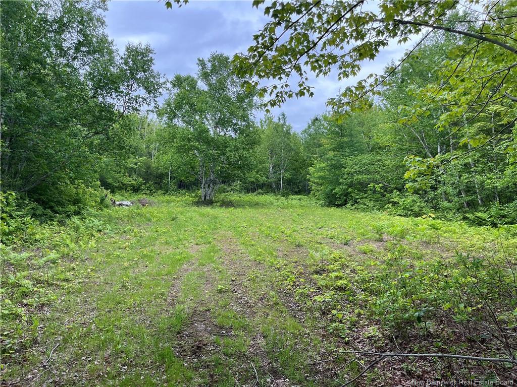 1446 Chatillon, Maisonnette, NB