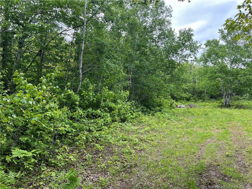 1446 Chatillon, Maisonnette, NB
