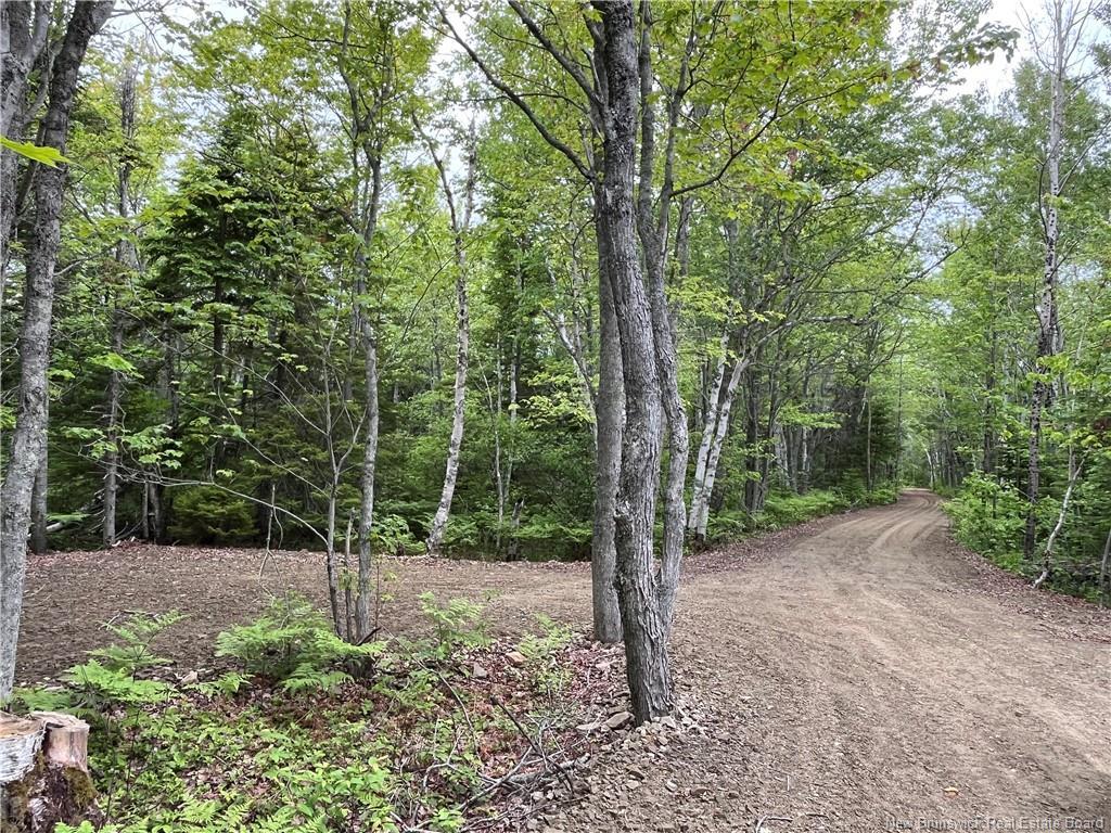 1446 Chatillon, Maisonnette, NB