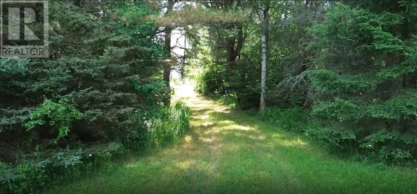 136 Station Rd, Huron Shores, ON - Outdoor