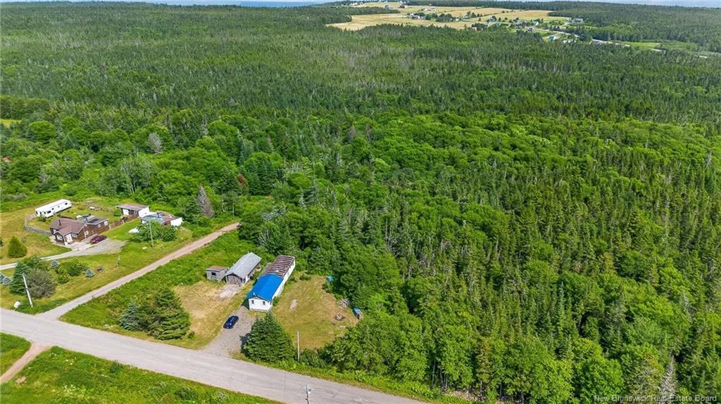 50 Moore Rd, Black River, NB