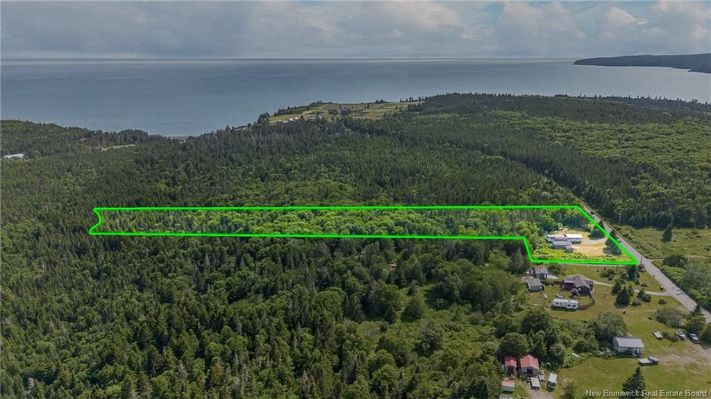 50 Moore Rd, Black River, NB