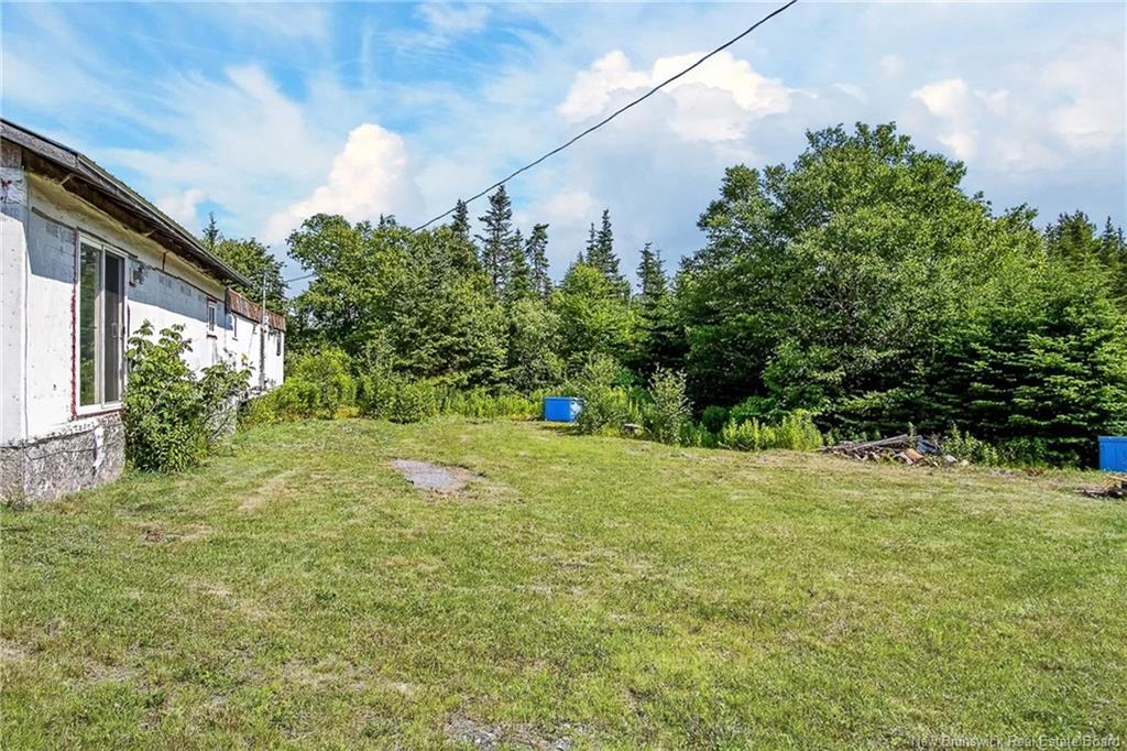 50 Moore Rd, Black River, NB