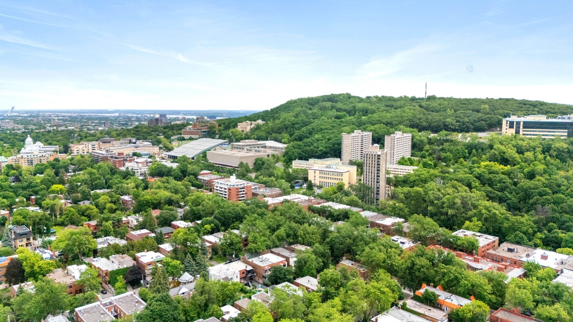 Vue d'ensemble - 3-2455 Boul. Édouard-Montpetit, Montréal (Côte-Des-Neiges/Notre-Dame-De-Grâce), QC