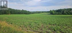 521268 CONCESSION 12 N West Grey, ON N0G 1S0