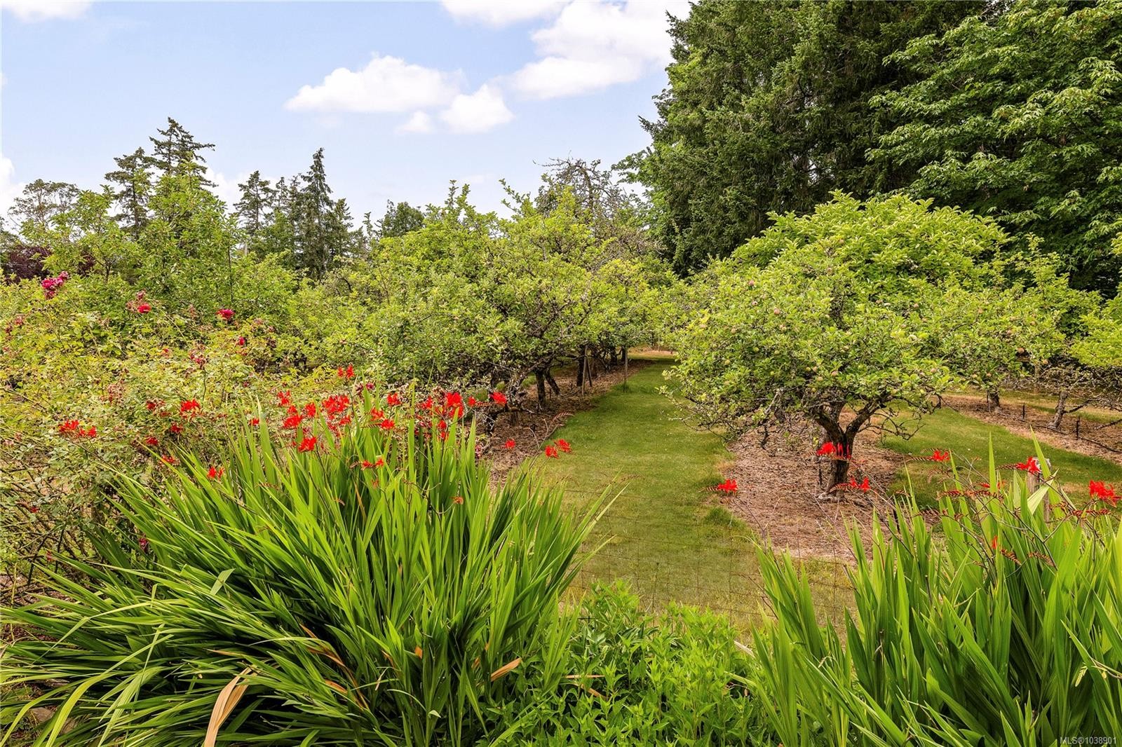 1662 Stamps Rd, Cowichan Bay, BC
